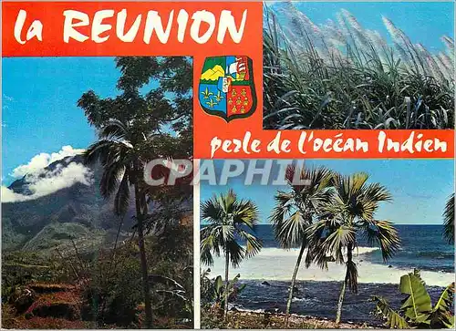 Moderne Karte Ile de la Reunion Cannes a sucre en fleurs Les hauts de l ile Cote Sauvage