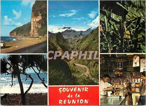 Cartes postales moderne Souvenir de La Reunion La Route en Corniche Cote Sauvage