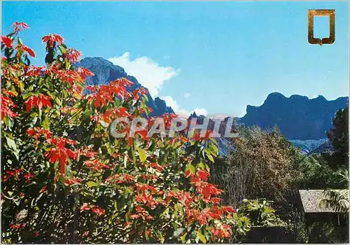 Cartes postales moderne Cirque de Cilaos Ile de la Reunion