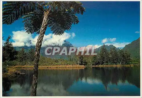 Cartes postales moderne La Reunion