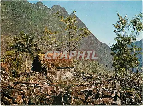 Cartes postales moderne La Reunion Paysage typique des hauts