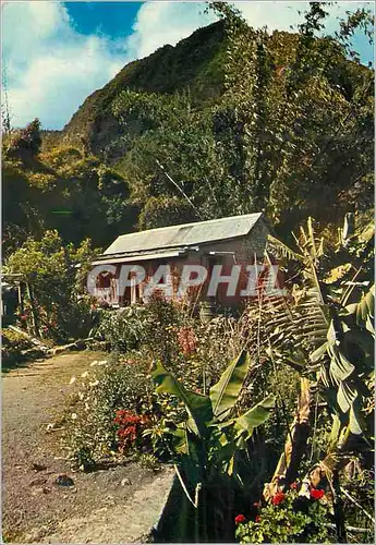 Cartes postales moderne Ile de la Reunion Les hautes de l ile