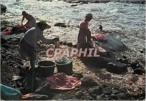 Cartes postales moderne Reunion Riviere du Mat Les Lavandieres
