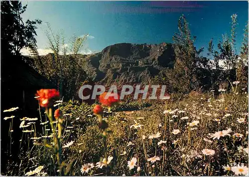 Cartes postales moderne Reunion Le Piton des Neiges vu de la Mare a Martin