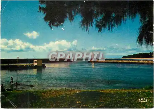 Cartes postales moderne La Reunion Contre jour sur le port de St Gilles
