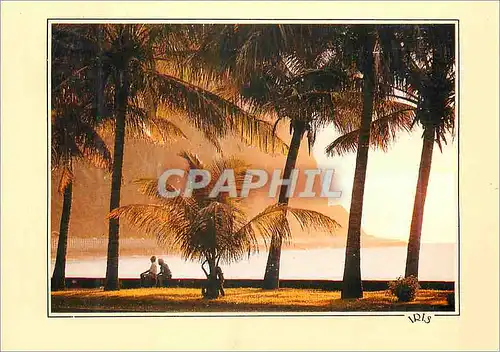 Cartes postales moderne La Reunion St Denis Le Barachois