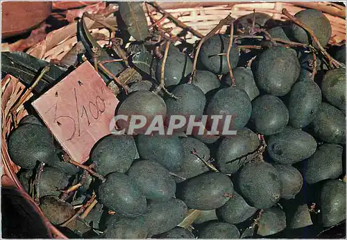 Cartes postales moderne L Ile de la Reunion Panier de Mangues