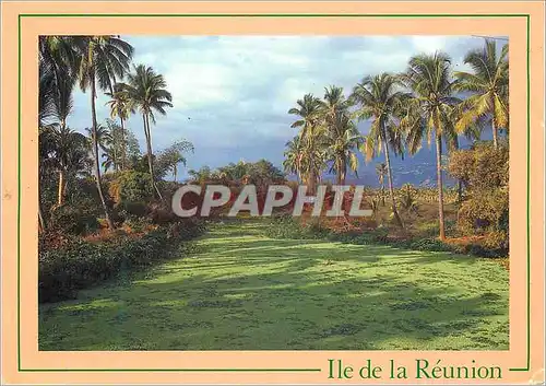 Moderne Karte Ile de la Reunion S Paul Etang