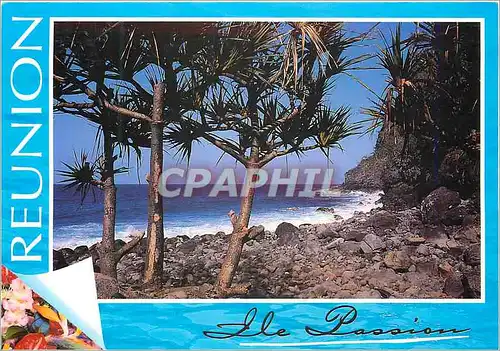 Cartes postales moderne Ile de la Reunion Vacoas a Manapany