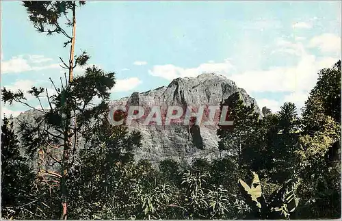 Cartes postales moderne Ile de la Reunion Cilaos Le Grand Bernard