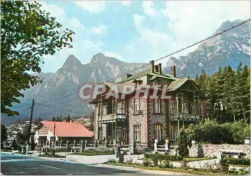 Cartes postales moderne Busteni Vedere din Centrul orasului Vue du Centre de la ville