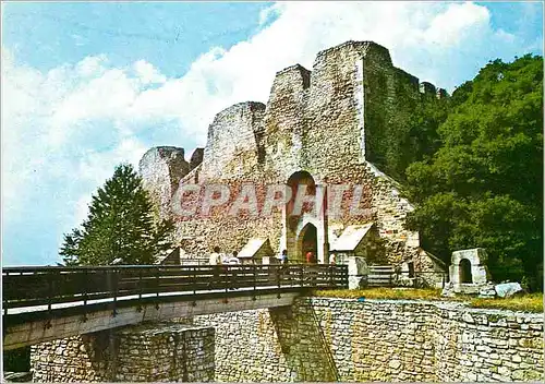 Cartes postales moderne Cetatea Neamt La Fortresse Neamt