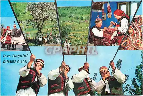 Cartes postales moderne Tara Oasului Simbra Oilor
