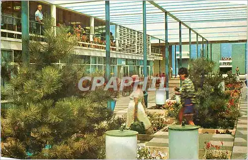 Cartes postales moderne Mamaia L'Ensemble Commercial