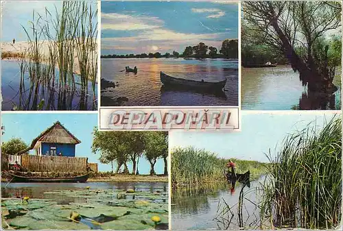 Cartes postales moderne Delta Dunari