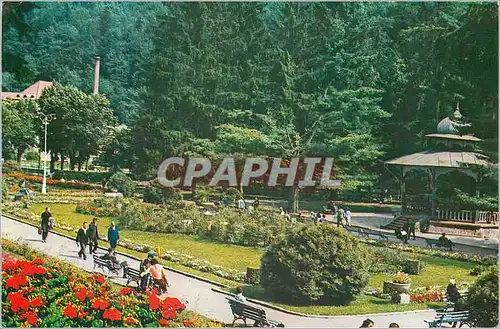 Cartes postales moderne Slanic Moldova Vedere din parc