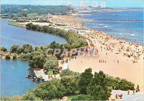 Cartes postales moderne Neptun La plage