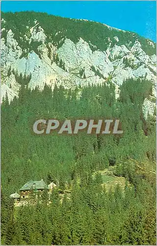 Cartes postales moderne Masivul Piatra Craiului Cabana