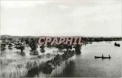 Cartes postales moderne Delta Dunarli la Ilgani