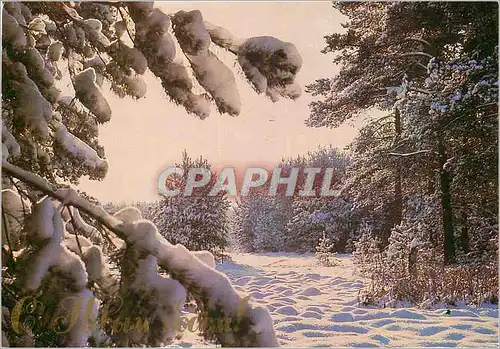 Cartes postales moderne Russie