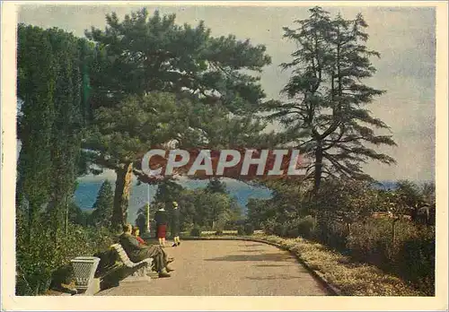 Cartes postales moderne Livadia Allee dans le parc