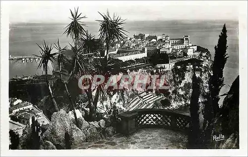 Cartes postales Le Rocher de Monaco vu des Jardins exotiques