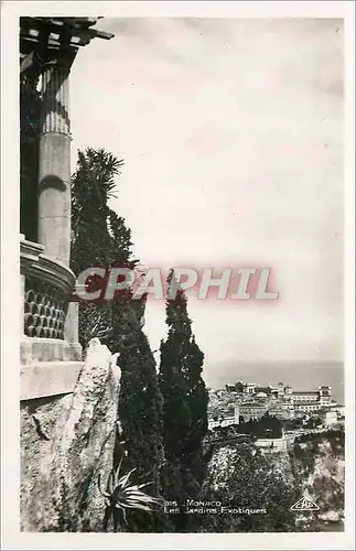 Cartes postales Monaco Les Jardins Exotiques