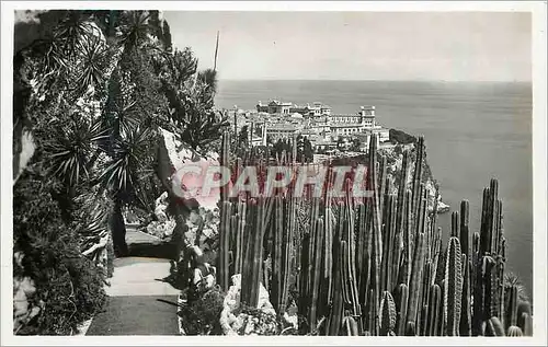 Cartes postales moderne Jardin exotique de Monaco vue sur Monaco Cereus marginatus et divers opuntias Yuccas et Euphorbe