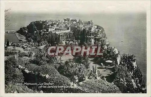 Cartes postales moderne Monte Carlo Le rocher et les jardins exotiques