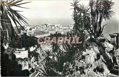 Cartes postales moderne Monaco Le rocher vu du Jardin exotique