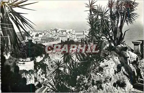 Moderne Karte Monaco Le rocher vu du Jardin exotique