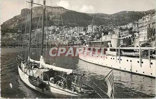 Cartes postales moderne Monte Carlo Le port et la tete de chien Bateaux