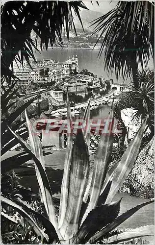 Cartes postales moderne Monte Carlo et le casino vus du Jardin exotique