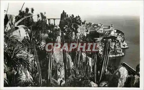 Cartes postales moderne Le rocher de Monaco vu des Jardins Exotiques