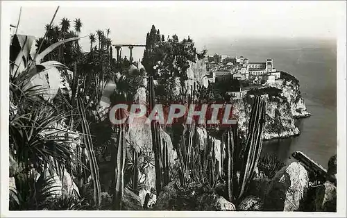 Moderne Karte Le rocher de Monaco vu des Jardins Exotiques