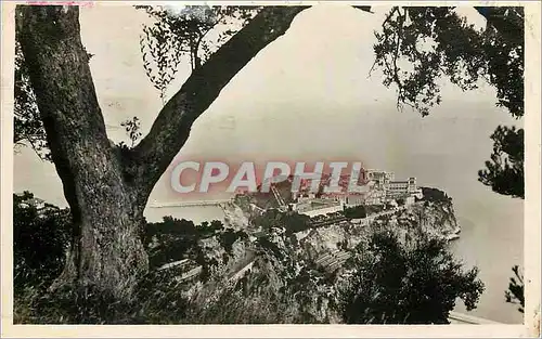 Cartes postales moderne Monaco Le rocher