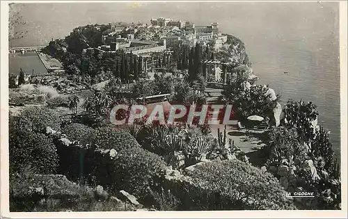 Cartes postales moderne Monaco Le rocher et les jardins exotiques