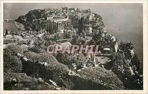 Cartes postales moderne Monaco Le rocher et les Jardins exotiques