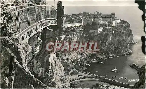 Cartes postales moderne Monaco Le rocher de Monaco et le Stade Louis II Vue pride du Jardin exotique