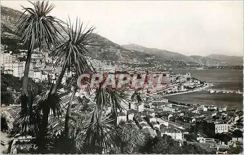 Cartes postales moderne Monte Carlo Vue generale prise du Jardin exotique
