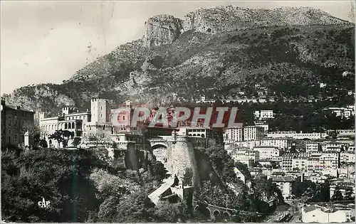 Cartes postales moderne Monaco Le palais du Prince et le rocher de la tete de chien
