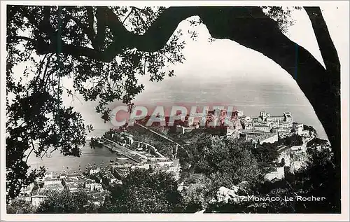Cartes postales moderne Monaco Le rocher
