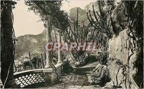 Cartes postales moderne Monaco Le jardin exotique