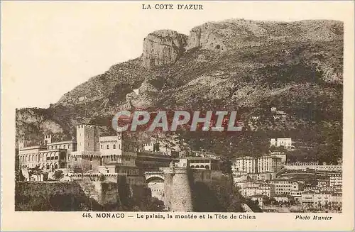 Cartes postales Monaco Le palais la montee et la tete de chien