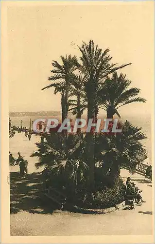 Cartes postales Monte Carlo Principaute de Monaco La Terrasse du Casino et le Cap Martin
