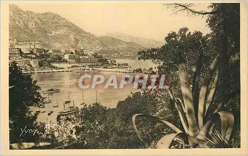 Cartes postales Monte Carlo Principaute de Monaco Vue prise des Jardins de Monaco