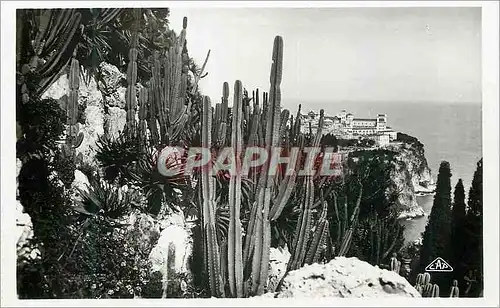 Moderne Karte Monaco Les jardins exotiques et un coin du rocher