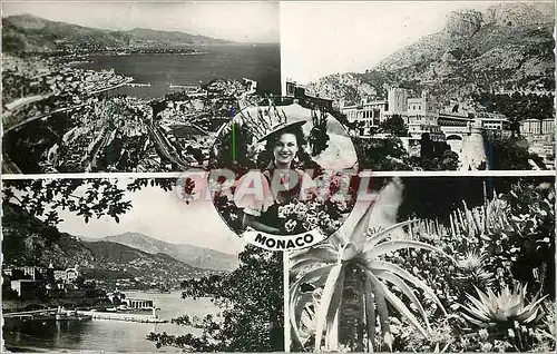 Cartes postales moderne Principaute de Monaco Vue generale Palais du Prince Monte Carlo vue generale Les jardins exotiqu