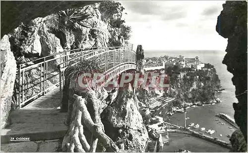 Cartes postales moderne Principaute de Monaco Le rocher et le Stade Louis II vus du Jardin exotique