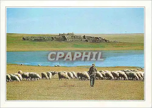 Cartes postales moderne Mongolie exterieure La steppe